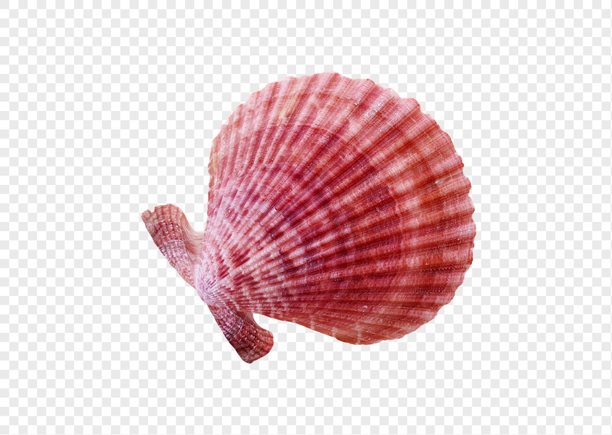 Free PNG of the Day Preview