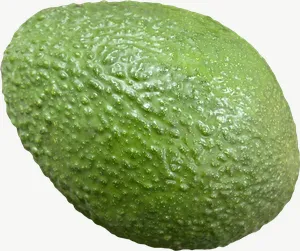 Avocado, vivid PNG with transparent background, real photo cutout