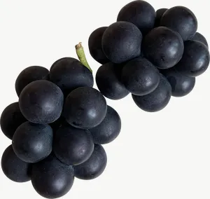 Blackberry cluster PNG with transparent background, real photo cutout