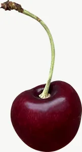 Cherry, whole PNG with transparent background, real photo cutout