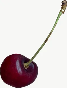 Cherry, loosely framed PNG with transparent background, real photo cutout