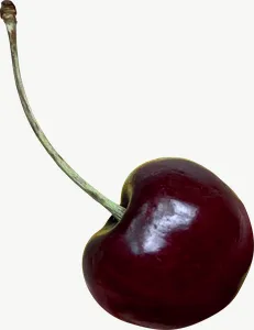 Cherry, right-facing PNG with transparent background, real photo cutout