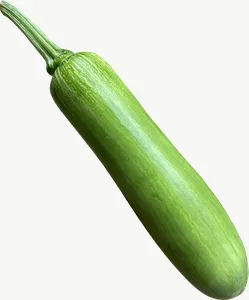 Cucumber PNG with transparent background, real photo cutout