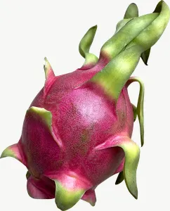 Dragon fruit, round PNG with transparent background, real photo cutout