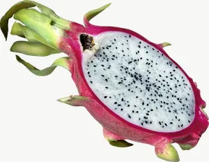 Dragon fruit half, wide PNG with transparent background, real photo cutout