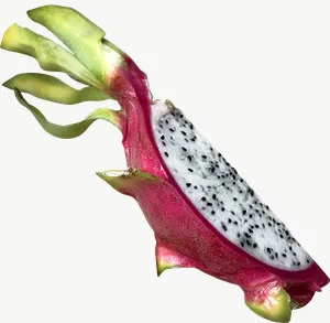 Dragon fruit half, round PNG with transparent background, real photo cutout
