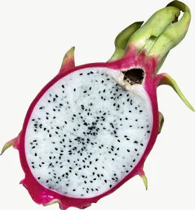 Dragon fruit half, round, pale PNG with transparent background, real photo cutout