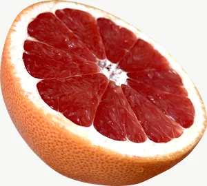 Grapefruit half, whole PNG with transparent background, real photo cutout