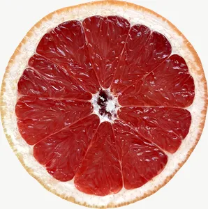 Grapefruit half, halved PNG with transparent background, real photo cutout