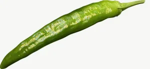 Green chili pepper, wide PNG with transparent background, real photo cutout