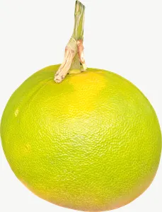 Green citrus PNG with transparent background, real photo cutout