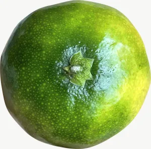 Green tangerine, with stem PNG with transparent background, real photo cutout