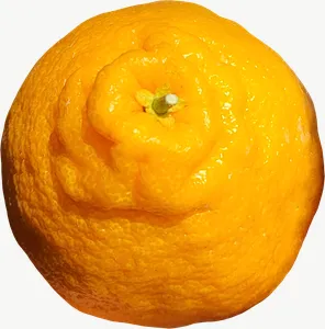 Hallabong orange PNG with transparent background, real photo cutout