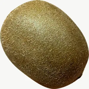 Kiwi PNG with transparent background, real photo cutout