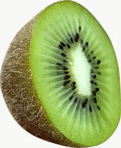 Kiwi half, vivid PNG with transparent background, real photo cutout
