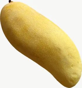 Mango PNG with transparent background, real photo cutout