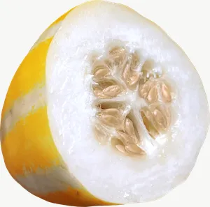 Melon half, whole PNG with transparent background, real photo cutout