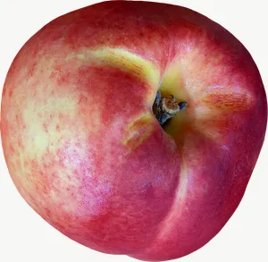 Nectarine PNG with transparent background, real photo cutout