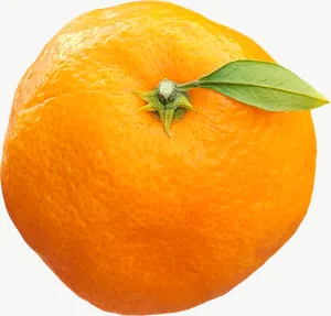 Orange, halved PNG with transparent background, real photo cutout