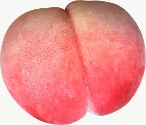 Peach, vivid PNG with transparent background, real photo cutout