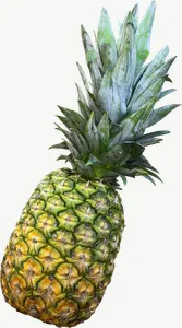 Pineapple PNG with transparent background, real photo cutout