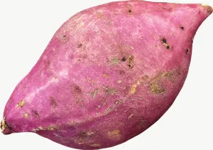 Purple sweet potato, close-up PNG with transparent background, real photo cutout