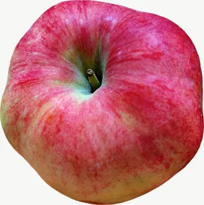 Red apple, whole PNG with transparent background, real photo cutout