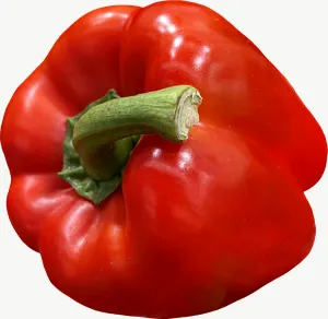 Red bell pepper, halved PNG with transparent background, real photo cutout