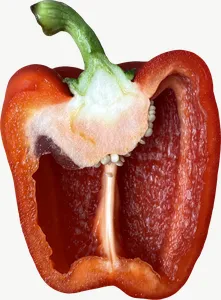Red bell pepper half PNG with transparent background, real photo cutout