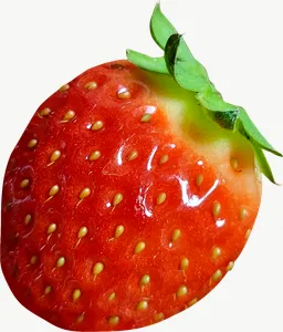 Strawberry, whole PNG with transparent background, real photo cutout