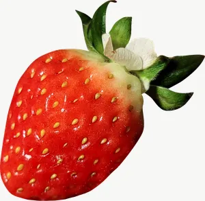 Strawberry, left-facing PNG with transparent background, real photo cutout