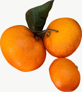 Tangerine cluster PNG with transparent background, real photo cutout