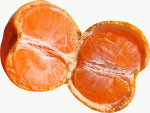 Tangerine segments PNG with transparent background, real photo cutout