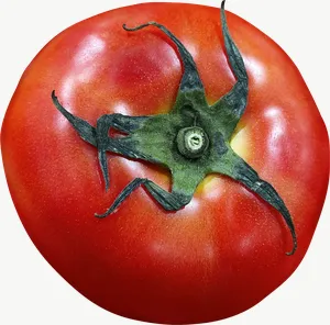 Tomato PNG with transparent background, real photo cutout