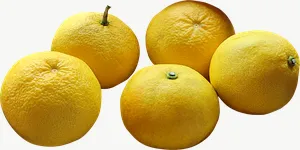 Yellow cherry tomato cluster PNG with transparent background, real photo cutout