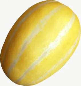 Yellow melon PNG with transparent background, real photo cutout