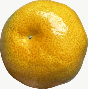Yellow tangerine PNG with transparent background, real photo cutout
