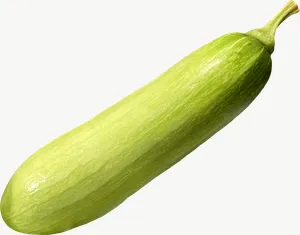 Yellow zucchini PNG with transparent background, real photo cutout