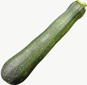 Zucchini PNG with transparent background, real photo cutout