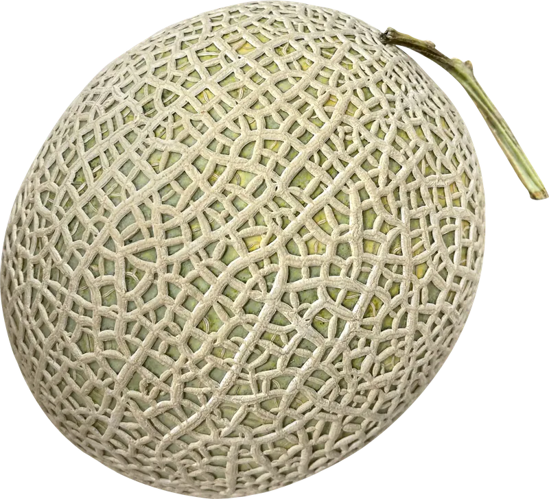 Cantaloupe melon PNG with transparent background, real photo cutout