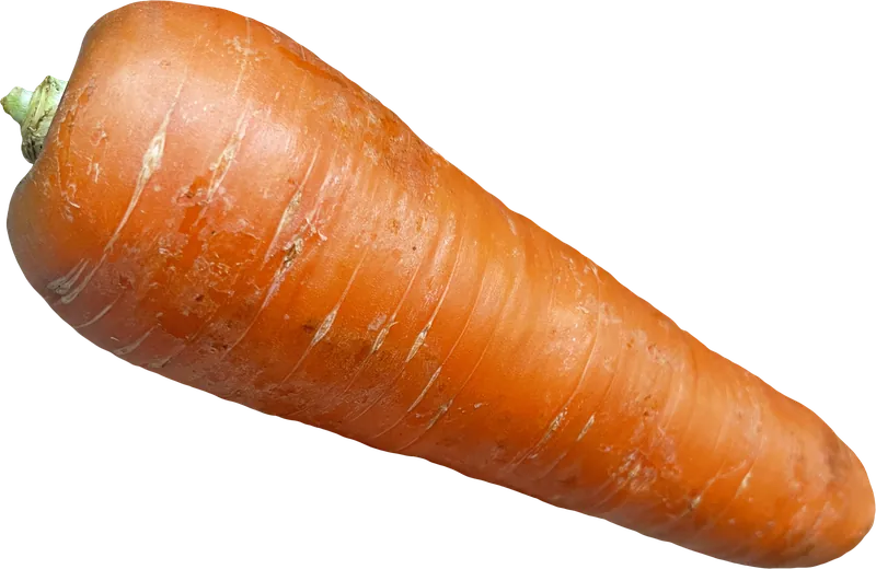 Carrot PNG with transparent background, real photo cutout