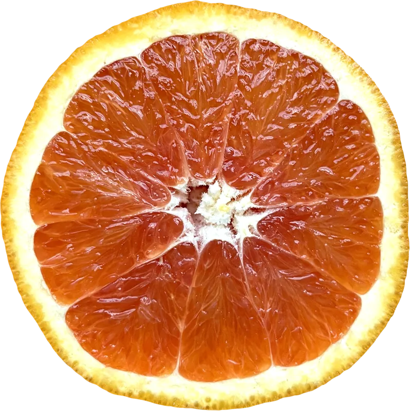 Orange slice PNG with transparent background, real photo cutout