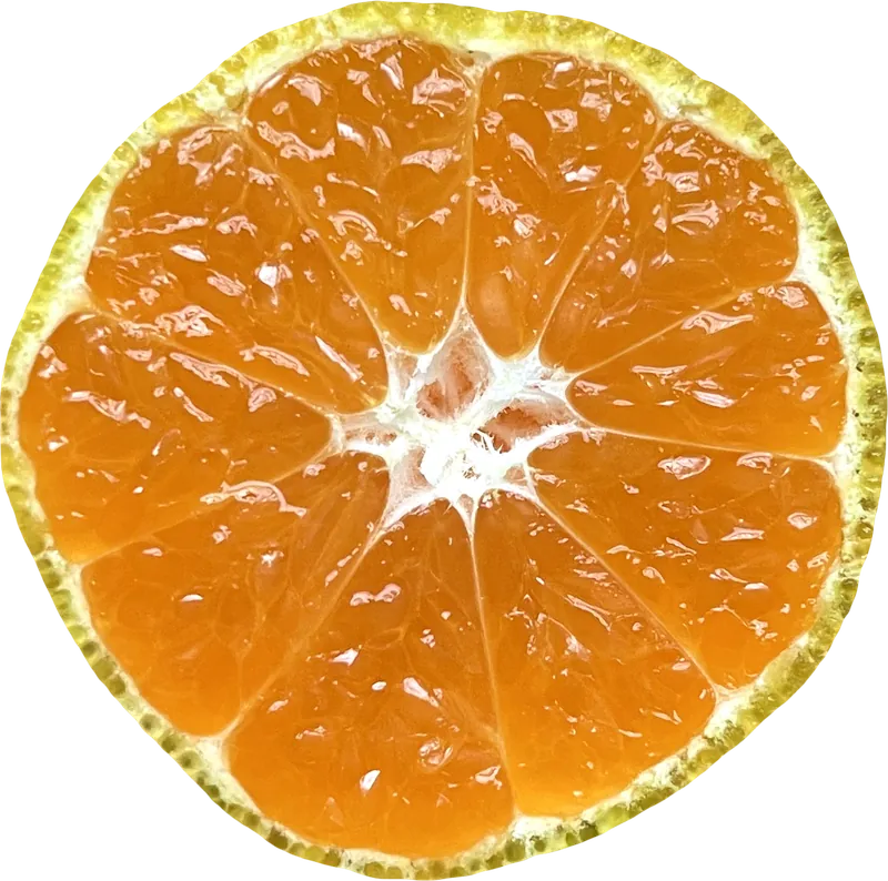 Orange slice PNG with transparent background, real photo cutout
