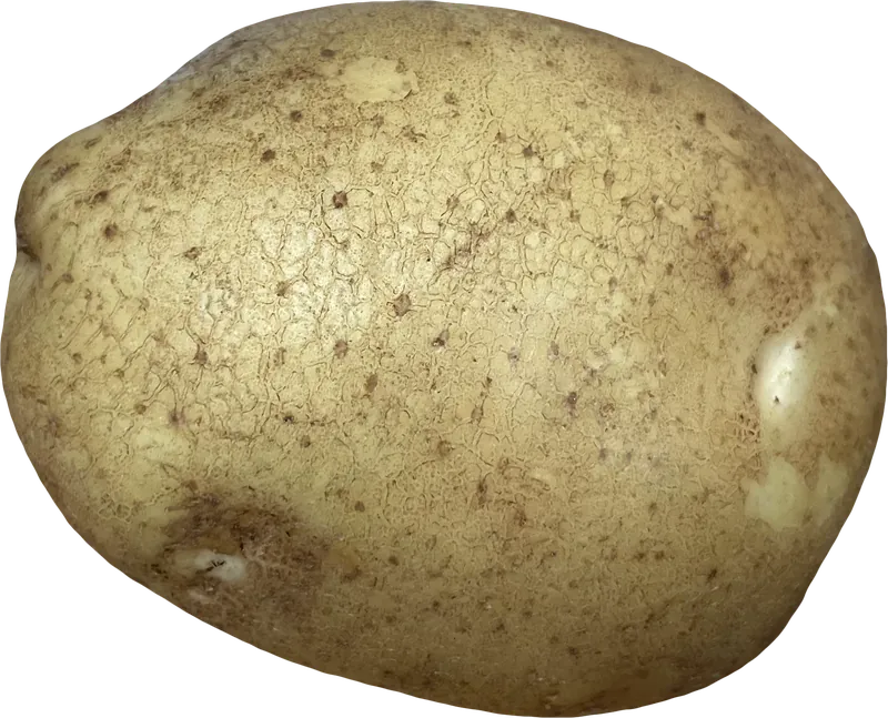 Potato PNG with transparent background, real photo cutout