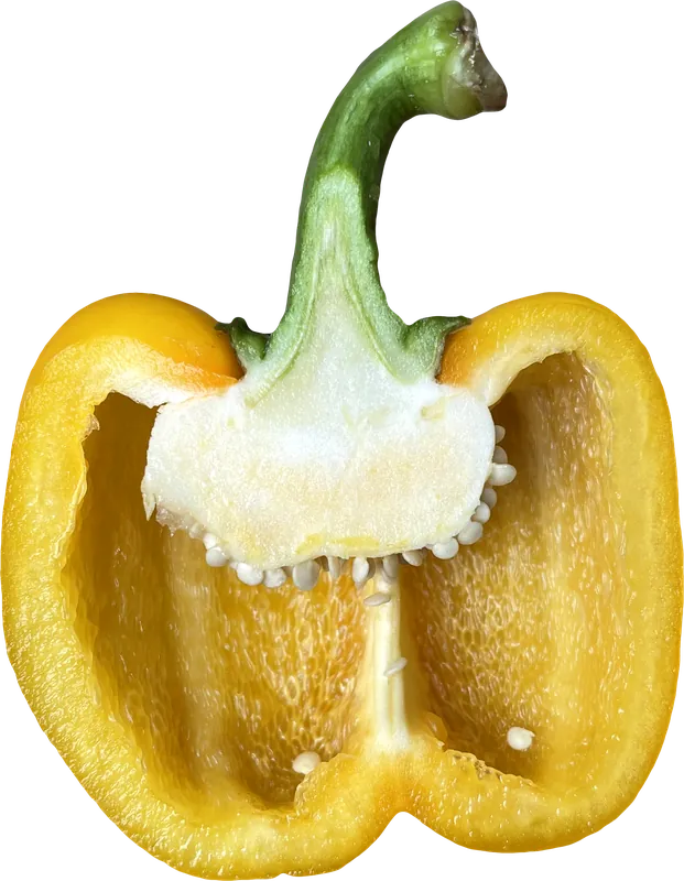 Yellow bell pepper half PNG with transparent background, real photo cutout