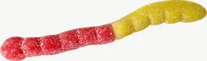 Gummy worm candy, vivid PNG with transparent background, real photo cutout