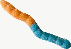 Gummy worm candy, loosely framed PNG with transparent background, real photo cutout