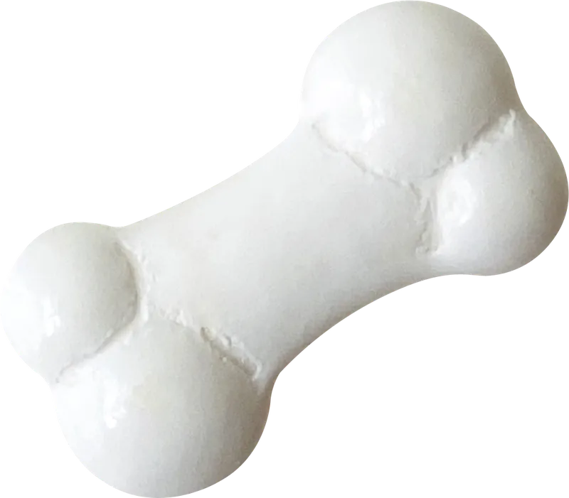White bone candy PNG with transparent background, real photo cutout