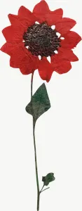 Pressed red spray flower, tall, high bloom PNG with transparent background, real photo cutout
