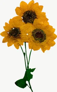 Pressed yellow spray flower, tall PNG with transparent background, real photo cutout